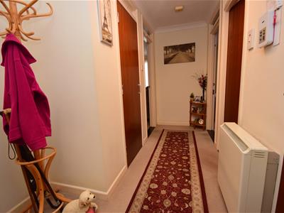 Picture 5